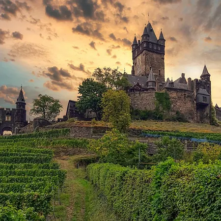 Lägenhet Ferienwohnungen Bullay