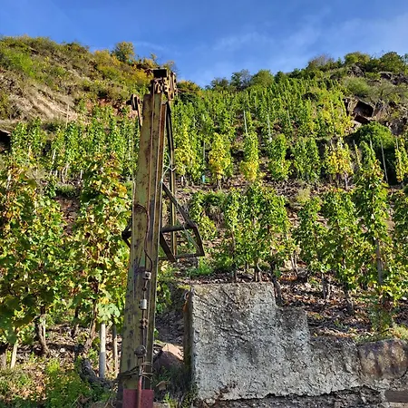 Ferienwohnungen Bullay