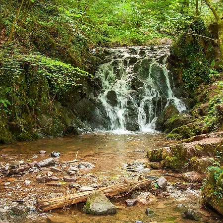 Lägenhet Ferienwohnungen Bullay