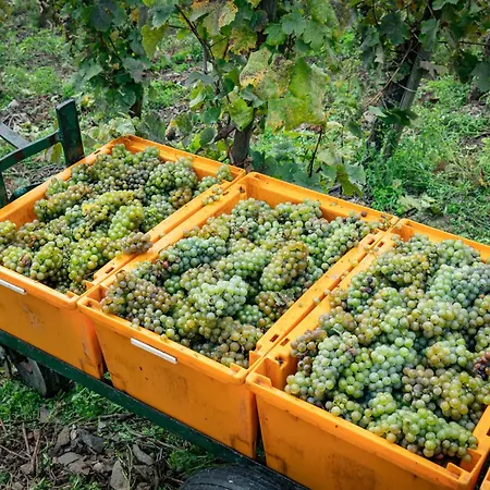 アパート Ferienwohnungen Bullay