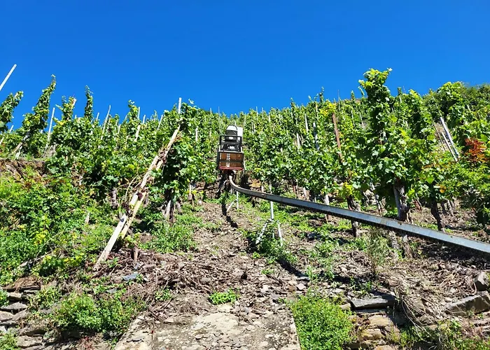 Ferienwohnungen Bullay