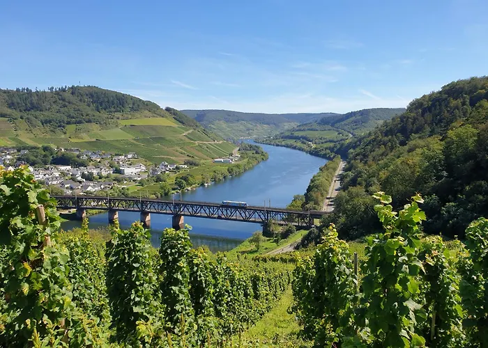 Apartment Ferienwohnungen Bullay Bullay