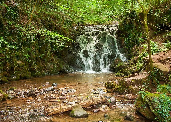 Apartment Ferienwohnungen Bullay